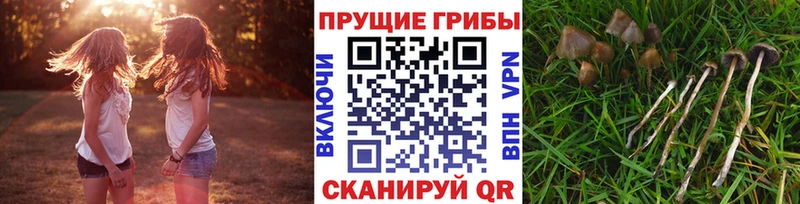 Псилоцибиновые грибы GOLDEN TEACHER  Юхнов 